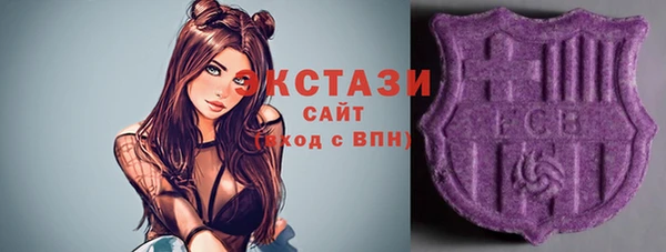 крисы Медногорск