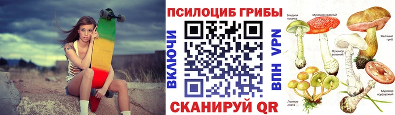 Псилоцибиновые грибы MAGIC MUSHROOMS  Дудинка 